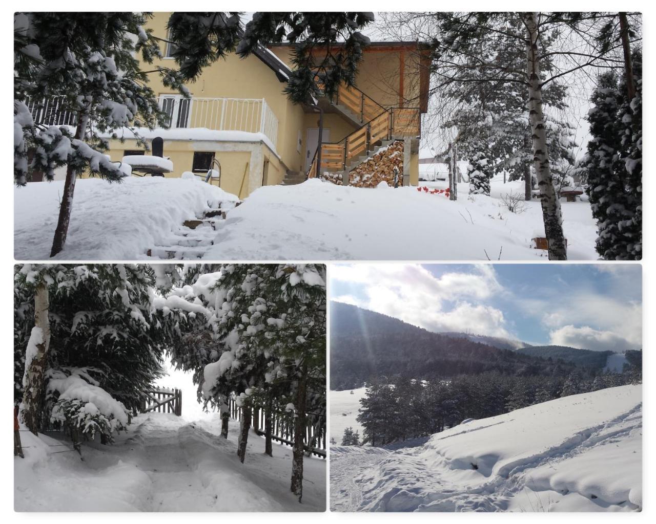 Zlatibor Apartmani Dm Tornik Exterior foto